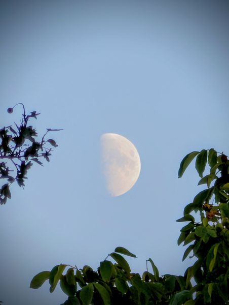 Quart de Lune crépusculaire